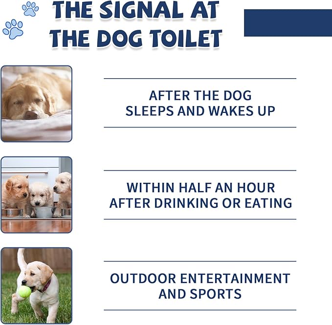 Potty Training Spray for Dogs,Puppy Potty Training Spray,Address Canine Inappropriate Elimination Habits | Proven HousebreakiHousebreng Methods for Indoor & Outdoor Environments 3.51 Oz