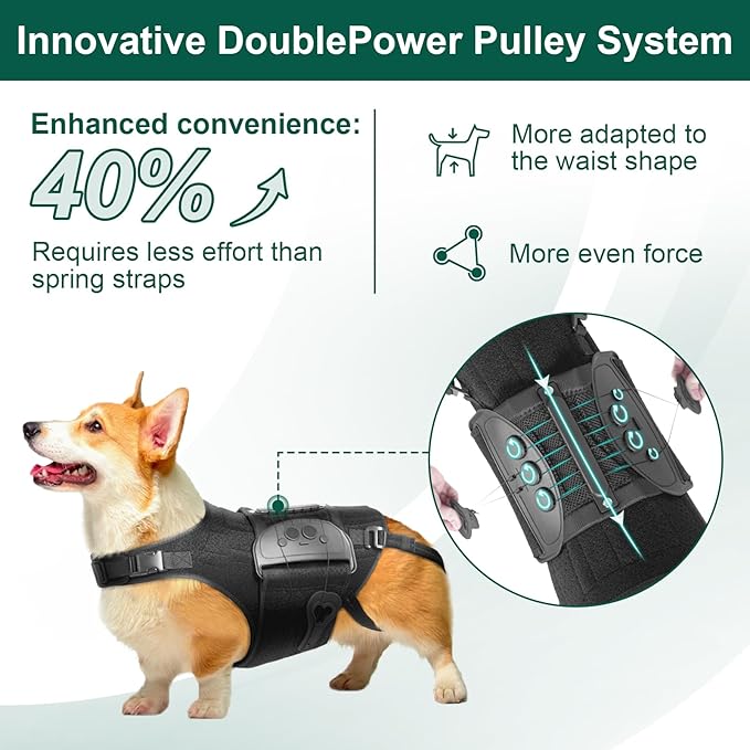 Dog Back Brace for IVDD, Arthritis, Slipped and Herniated Discs – Provides Back Support and Pain Relief, Stabilizes Spine for Surgical Recovery and Mobility, Dogs Back Disease Prevention(Black,M)