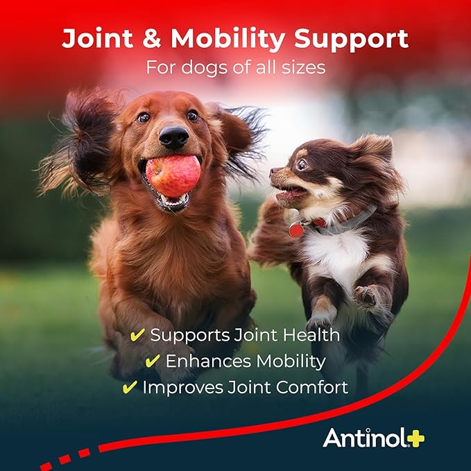 Plus, Mobility, Hip, and Joint Supplement for Dogs, Green-Lipped Mussels and Krill Oil - Dog Joint Supplement, Better and Faster Than Glucosamine and Chondroitin, 90 Soft Gels