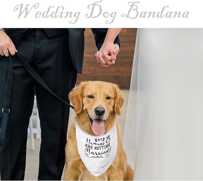 Realeaf Engagement Gift, My Humans are Getting Married Dog Bandana, Dog Wedding Outfit for Boy and Girl, Premium Durable Fabric, Dog Engagement Announcement for Medium and Large Dogs Pets (Large)