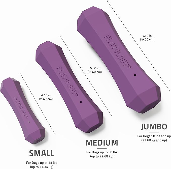 Playology Dog Toys | Durable Squeaky Chew Stick for Dogs | Medium Bacon Scented Toy - Easy to Clean and Made from Non Toxic Materials