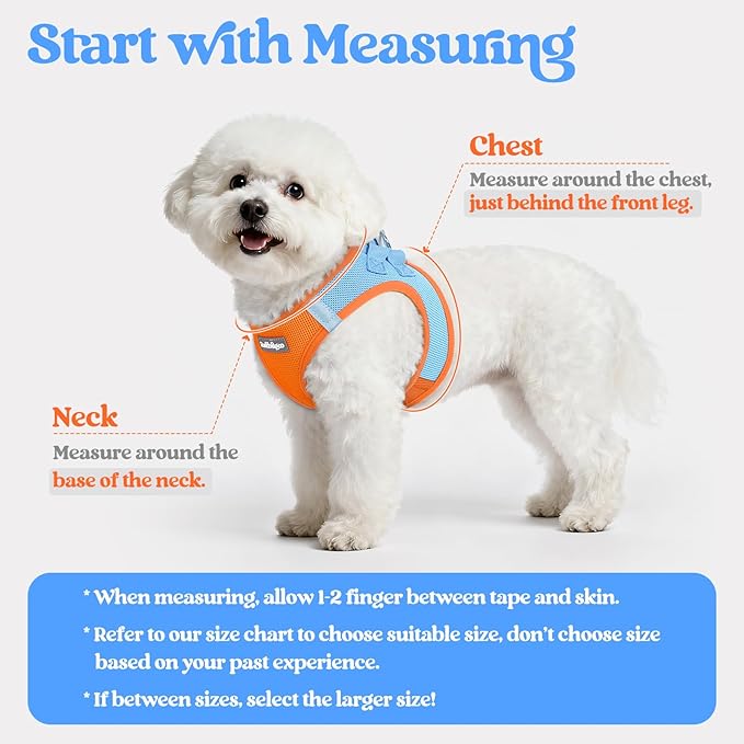 rabbitgoo Dog Harness Small Sized and Leash Set, Step in Soft Light Puppy Vest, Breathable Mesh Pet Harness, Reflective for Safe Easy Walking, Blue & Orange S