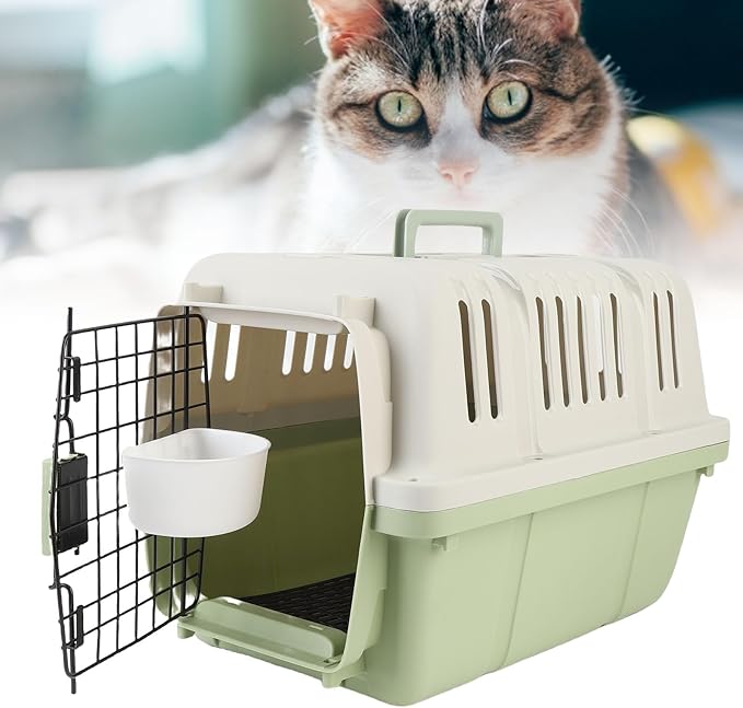 Plastic Dog Crate, Airline Approved Hard Shell Dog Kennel with Handle for Home and Travel, Large Space Portable Breathable Pet Travel Carrier for Outings and Activities (Green)