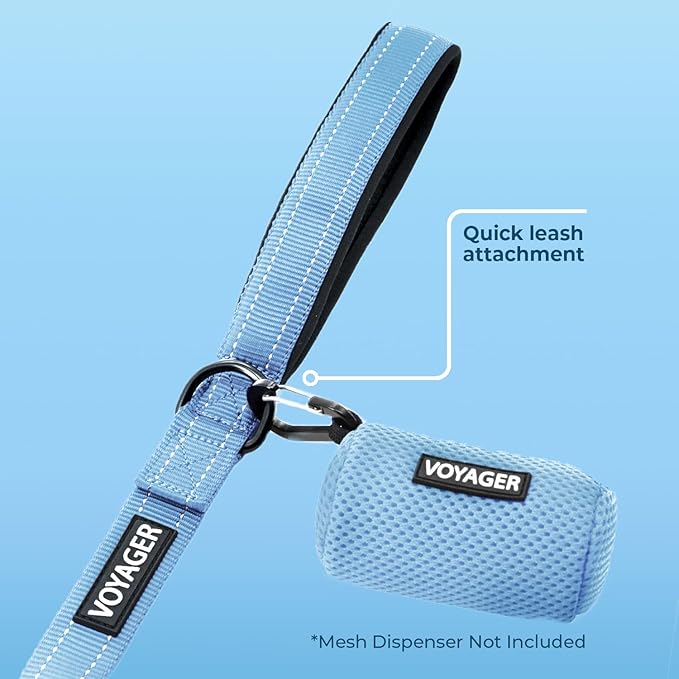 Voyager Reflective Dog Leash with Neoprene Handle, 5ft Long, Supports Small, Medium, and Large Breed Puppies, Cute and Heavy Duty for Walking, Running, and Training - Baby Blue (Leash), M