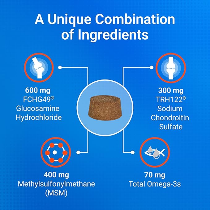 COSEQUIN Maximum Strength Joint Supplement Plus MSM & Omega-3's - With Glucosamine and Chondroitin - For Dogs of All Sizes (Soft Chews)