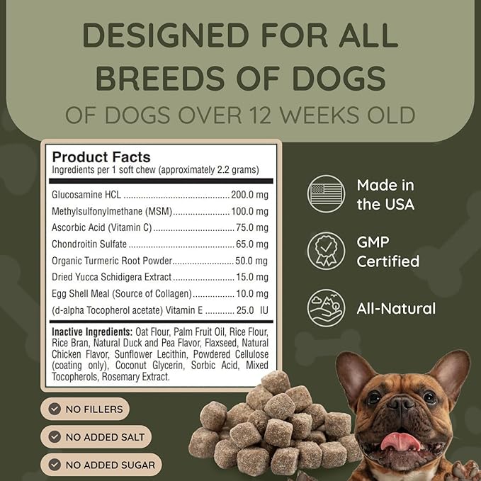 Asher House Wellness Hip and Joint Supplement for Dogs - Natural Soft Chew with MSM, Chondroitin, Glucosamine, Vitamins - Promotes Joint Health & Pain Relief Senior & All Dog Breeds, Large, 120 Chews