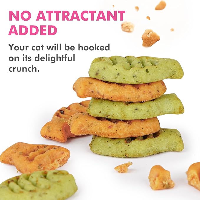 Catnip Cat Treats, Chicken and Salmon Flavor Cat Snacks, Training Biscuits Treats for Cats, Crunchy Fish Shape Adult Cat Biscuits, 8 oz