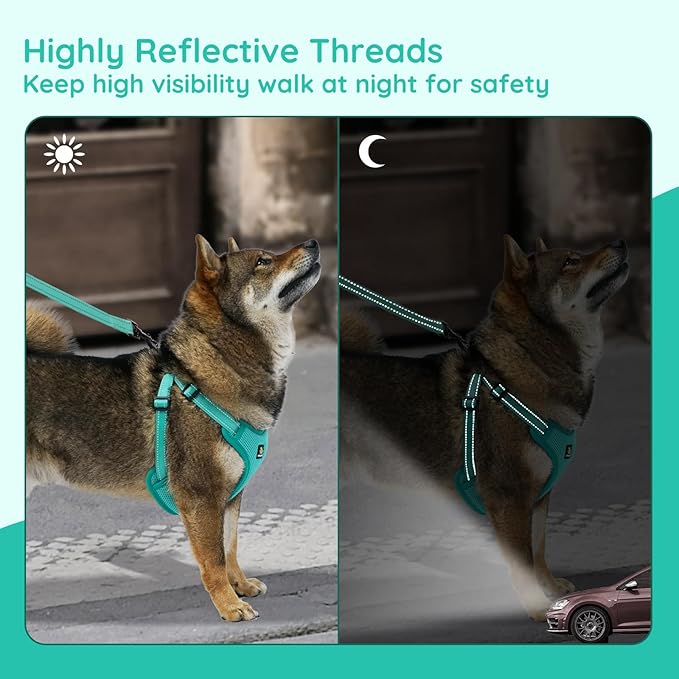 BELLA & PAL Adjustable Step-in Dog Harness, Puppy No-Pull Vest with Leash Set for XS/Small & Medium Dog, Breathable All-Weather Mesh, Reflective Strip, Secure Hook & Loop, Buckle Closure, Dual D-Rings