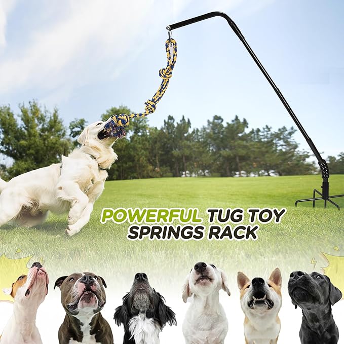 Tether Outdoor Dog Rope Toy with Strengthen Spring Pole, 3 Kinds Dog Tug of War Toys for Self Play and Interactive in Park, Yard, Lawn Rope, Suitable for Large Medium Small Dogs (Black)