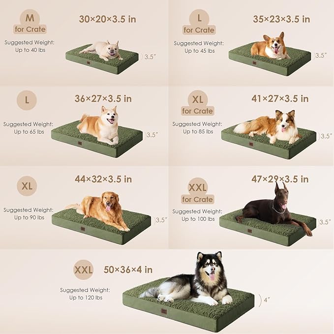 EHEYCIGA Orthopedic Dog Beds for Large Dogs with Removable Washable Cover, Dark Green, 36x27