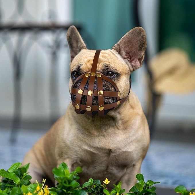 OOPSDOGGY French Bulldog Dog Muzzle for Short Snout Dog - Leather Breathable Secure Basket Muzzle for Frenchie Prevents Biting No Chewing Adjustable (Brown, Size 2 - French Bulldog)