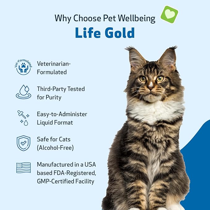 Pet Wellbeing Life Gold for Cats - Supports Detoxification, Immune System Health, Antioxidants - Vet-Formulated Herbal Supplement – 4 oz (118 ml)
