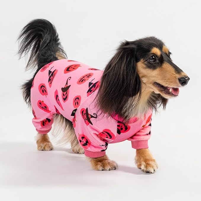 Fitwarm Halloween Jack O Lantern Dog Pajamas, Funny Costumes for Small Dogs Girl, Pet Outfit, Pink, Black, XXL