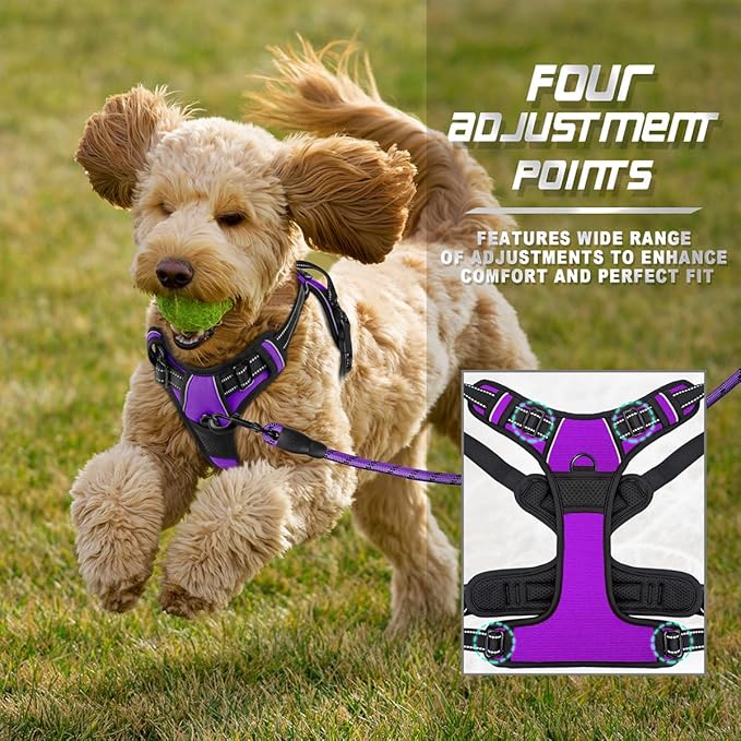 BARKBAY No Pull Dog Harness Front Clip Heavy Duty Reflective Easy Control Handle for Large Dog Walking(Purple,XS)