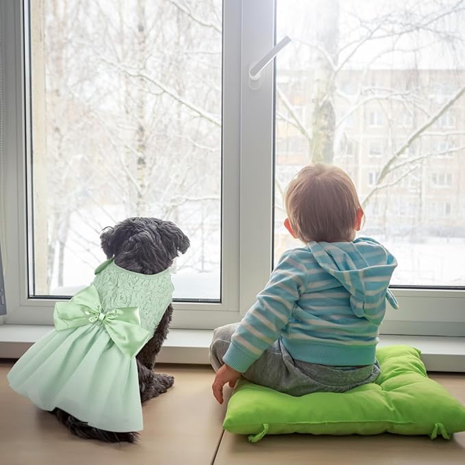 ASENKU Dog Dress Pet Wedding Dress Princess Lace Puppy Birthday Party Outfit Formal Apparel Girl for Small Medium Dogs Cats (XX-Small, Green)