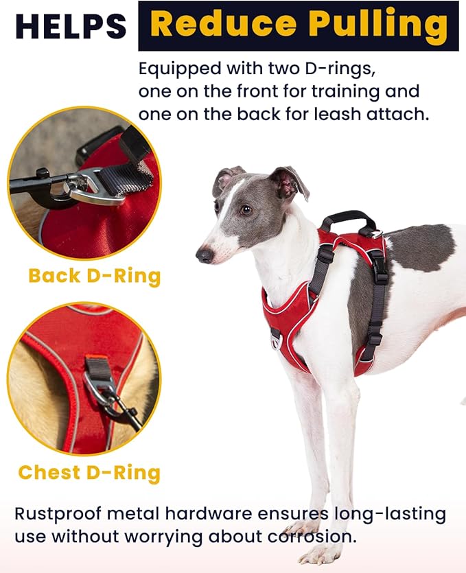 No Pull Dog Harness with Back Control Handle Small Sized, Reflective Vest, Adjustable and Padded, Easy Walker Front/Back Clips (Black, Small)