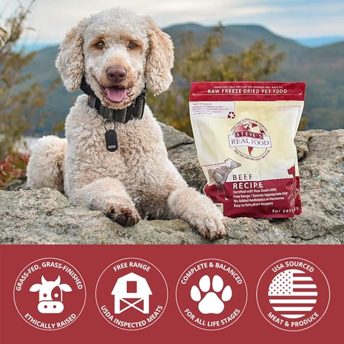 Steve's Real Food Freeze-Dried Raw Nuggets - Beef Recipe - Raw Pet Food for Dogs and Cats - 20 oz