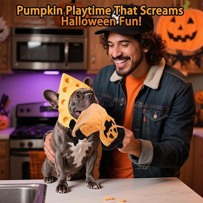 BINGPET Dog Squeaky Toys,2 Pack No Stuffing Halloween & Thanksgiving Dog Toys, Pumpkin & Turkey Interactive Plush with Squeaky Ball and Crinkle Paper, Durable Fun for Small Medium Large Dogs