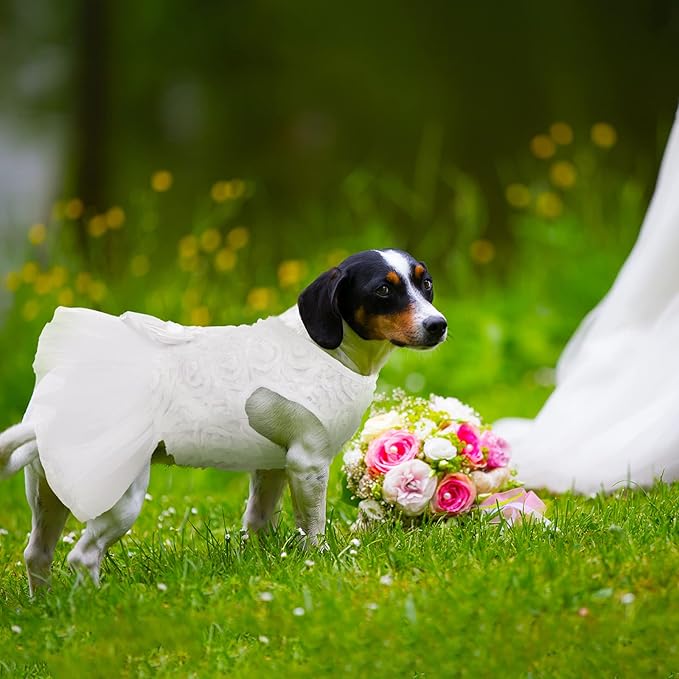QBLEEV Dog Dress - White Lace Tutu Skirt for Small Dogs, Wedding Attire, Sweet Princess Dress with Bowknot, Puppy Bride Halloween Costume Summer Apparel Formal Clothes for Wedding Party Holiday, XS