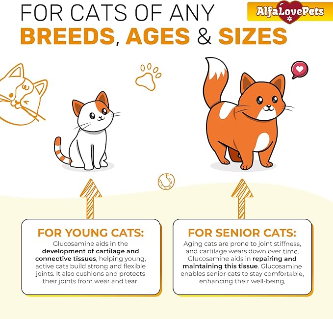 Cat Joint Supplement for All Breeds – Glucosamine for Cats and Kittens – Glucosamine, Chondroitin, MSM for Hip & Joint Care – Natural Ingredients with Chicken Flavor – 2 Oz