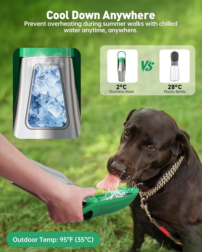 Stainless Steel Dog Water Bottle - 27 oz Portable Travel Dog Bottle & Bowl, Leak Proof Stainless Steel Metal Pet Water Bowl Dispenser for Camping, Hiking, Traveling, Walking (27oz, Green)