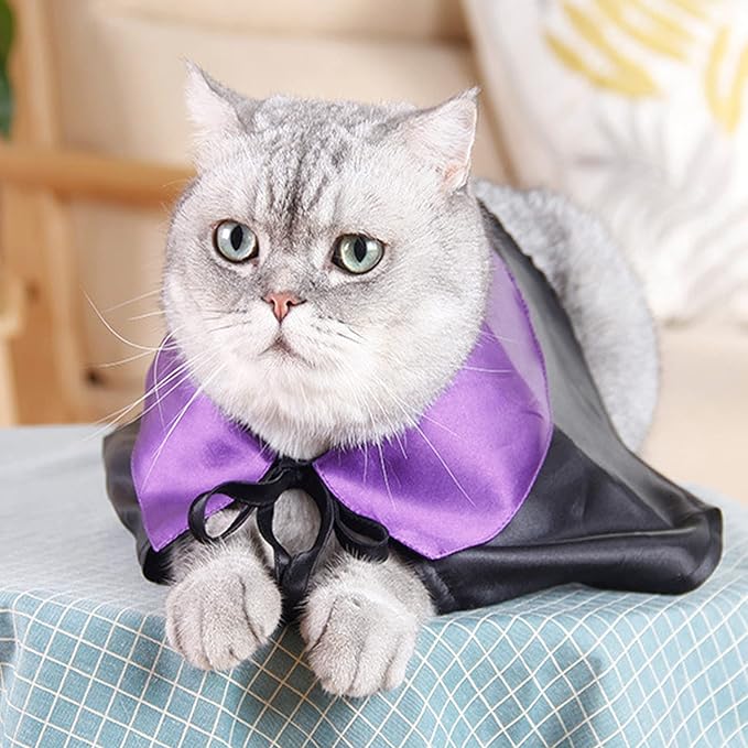 Halloween Pet Cloak Witch Hat Witch Cloak Costume for Small Dogs and Cats Halloween Clothes (S)