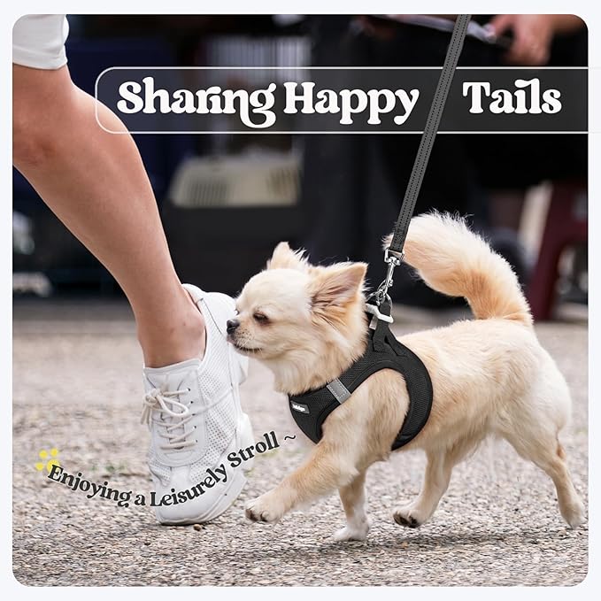 rabbitgoo Dog Harness Small Sized and Leash Set, Step in Soft Light Puppy Vest, Breathable Mesh Pet Harness, Reflective for Safe Easy Walking, Black XS