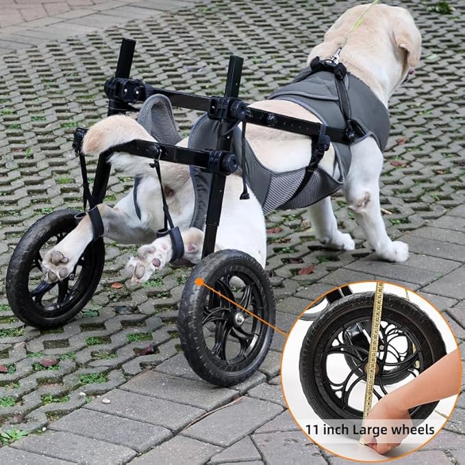 Large Dog Wheelchair for Back Legs with Pet Traction Rope - Adjustable Hind Leg Support Cart with Breathable Air Mesh Harness, All-Terrain Wheels & Foldable Frame - Mobility Aid for Disabled/Injured