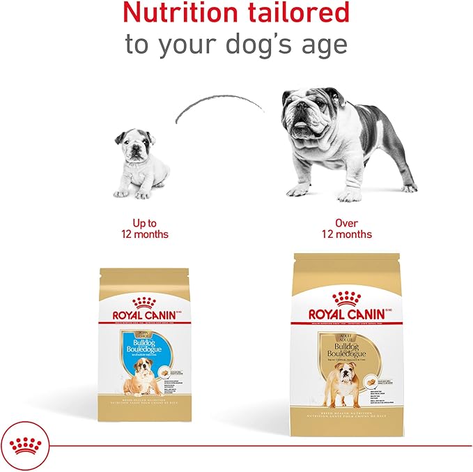 Royal Canin Bulldog Puppy Dry Dog Food, 6 lb bag