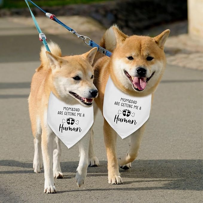 2 Pack Mom&Dad are Getting me a Human Dog Pregnancy Announcement Bandana Pet Accessories for Dog Lovers Gender Reveal Photo Prop Pet Scarf Coming Soon Baby Announcement