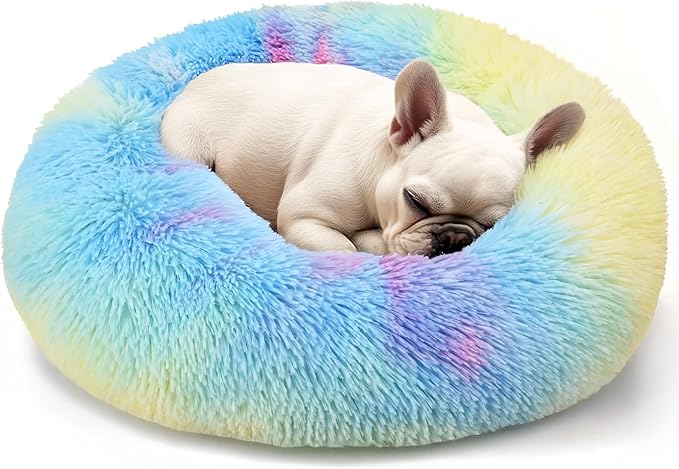 Hoewina Dog & Cat Bed, 20in Cat Beds for Indoor Cats, Calming Donut Bed for Puppy and Kitten, Washable Round Fluffy Pet Bed for Small Medium Dogs and Cats (Rainbow)