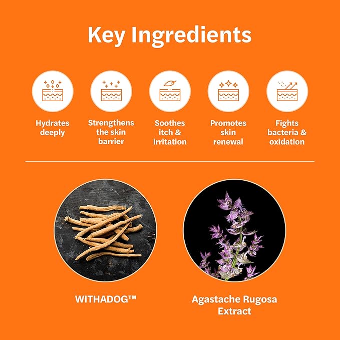 ODAC Overture Derma Serene Pet Shampoo, Gentle, Skin Friendly with Winter Cherry Root & Korean Patchouli, Rich Lather & Herbal Freshness, for Dogs & Cats, 10.14 fl oz Korea Beauty Pet Skincare