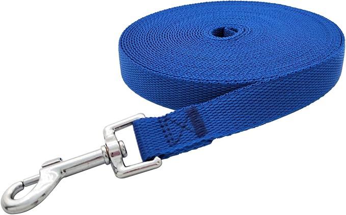 Nylon Training Dog Leash for Small Medium Large Dogs, 15ft 20ft 30ft 50ft Long Leash Dog/Puppy Lead for Obedience Recall Training, Camping (1" x 30ft, Blue)