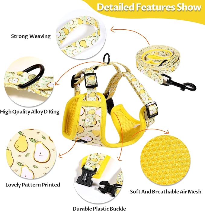 Dog Harness and Leash Set, Adjustable Dog Harness, Dog Leash, No Pull No Choke Puppy Harnesses for Walking Training for Small Medium Pet