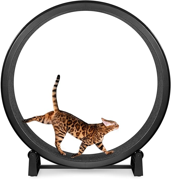 One Fast Cat - Cat Exercise Wheel - Gen. 7 - Safe 48" Diameter - Made in The USA - Black Wheel with Black Felt Traction Pads and Solid Inline Wheels