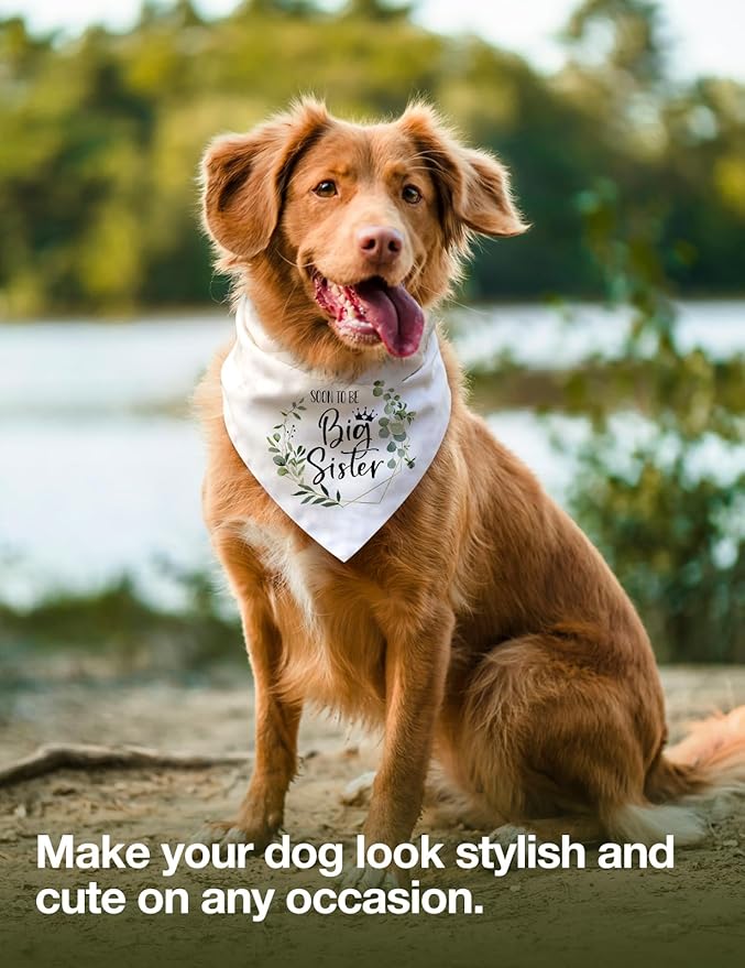 Funny Soon to Be Big Sister Dog Bandana, White Big Sister Triangle Scarf for Dogs, Pregnancy Announcement, Daily Wear & Special Occasions