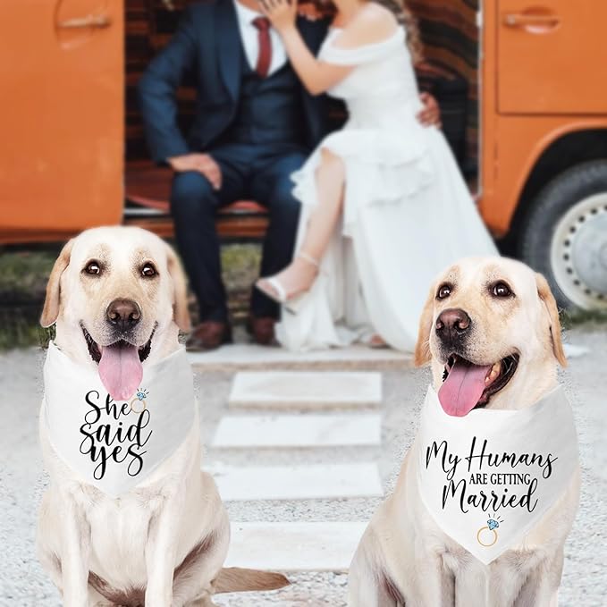 2 Packs My Humans are Getting Married She Said Yes Bandana for Wedding Engagement Photos, Bridal Shower Gift,Dog Wedding Outfit, Dog Engagement Announcement, Engagement Gifts