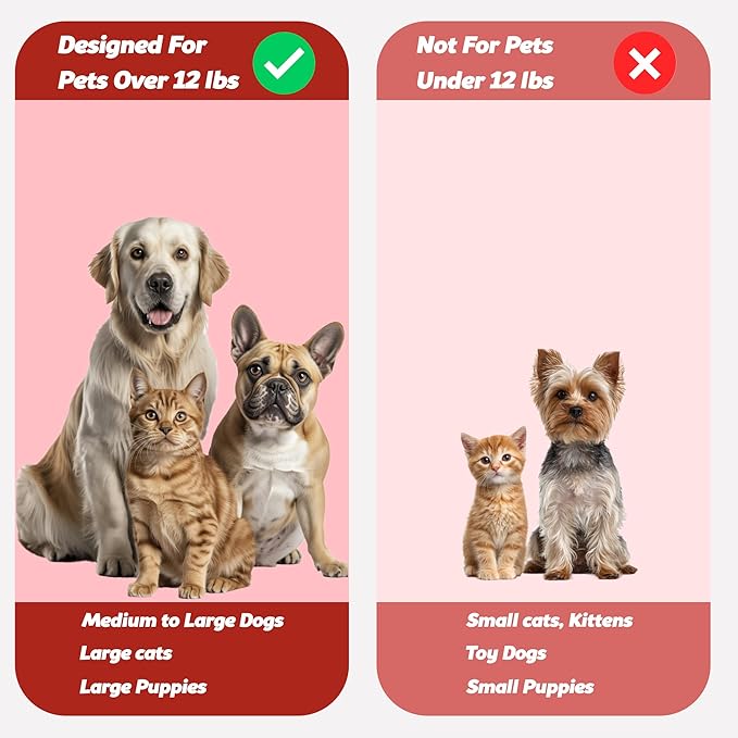 Pet Toothbrush for Dogs, Cats with Soft Bristles - Easy Teeth Cleaning & Dental Care, Non Slip Dual Head Dog Toothbrush