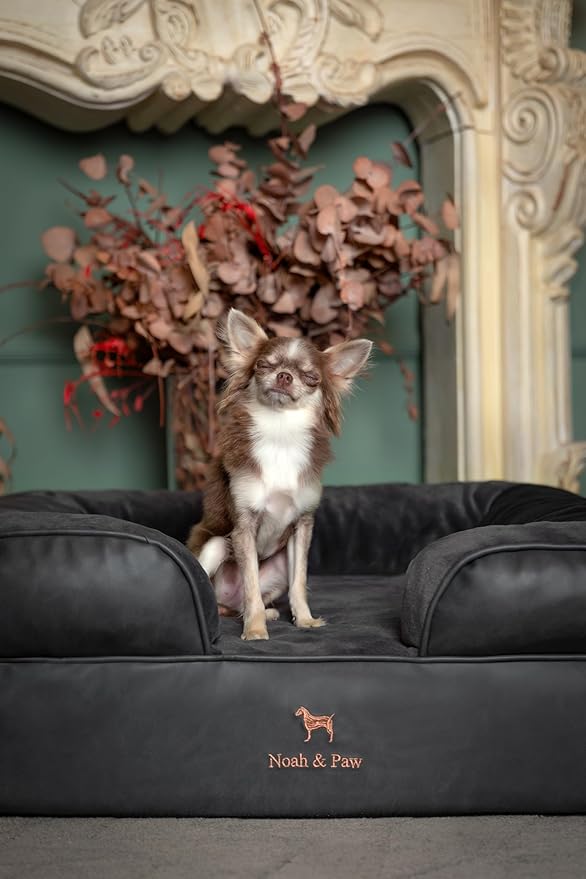 NOAH & PAW Dog Bed, 28x23x11 Inch, Orthopedic Dog Beds for Medium Size Pets, Eggshell Memory Foam Infused with Cooling Gel, Inner Cover, Waterproof, Machine Washable (Faux Leather Sofa Collection)