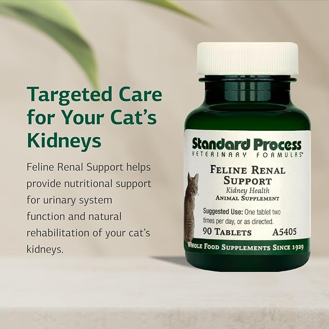 Standard Process Inc. Feline Renal Support - Cat Supplement to Support Kidney & Urinary Health, Cat Supplies with Whole-Food Based Ingredients, Feline Supplement to Aid Kidney Function - 90 Tablets