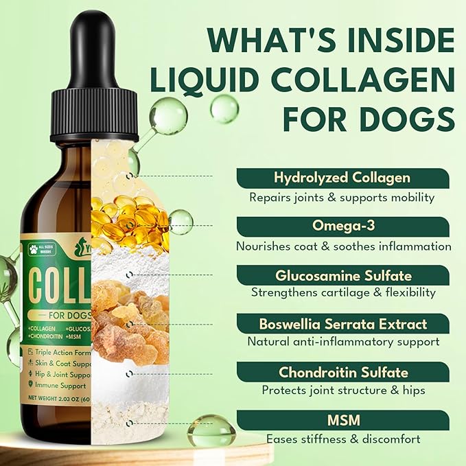 Liquid Collagen for Dogs, Natural Dog Collagen for Skin & Coat Support, Immune Support, Joint & Mobility Care with MSM, Middle-Aged and Older Dogs (Bacon Flavor - 60ml)