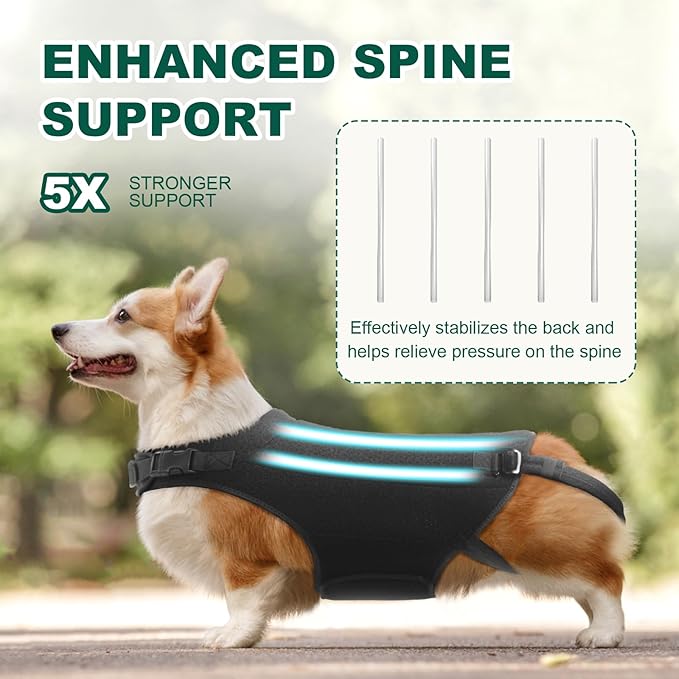 Dog Back Brace for IVDD, Arthritis, Slipped and Herniated Discs – Provides Back Support and Pain Relief, Stabilizes Spine for Surgical Recovery and Mobility, Dogs Back Disease Prevention(Black,M)