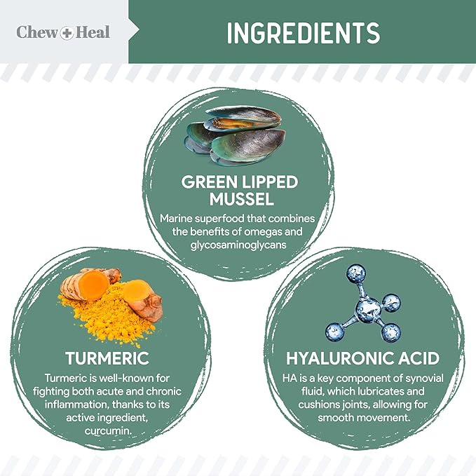 Glucosamine for Dogs Hip and Joint Supplement - 60 Senior Dogs Mobility Soft Chews - Made with Glucosamine, MSM, Chondroitin, Green Lipped Mussels and More - Made in The USA