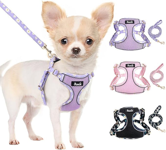 SlowTon Small Dog Harness - No Pull Dog Harness and Leash Set, Soft Mesh Lightweight Puppy Vest Harnesses, Adjustable Pet Harnesses for XXS XS Small Medium Easy Walk Hiking (Purple, M)
