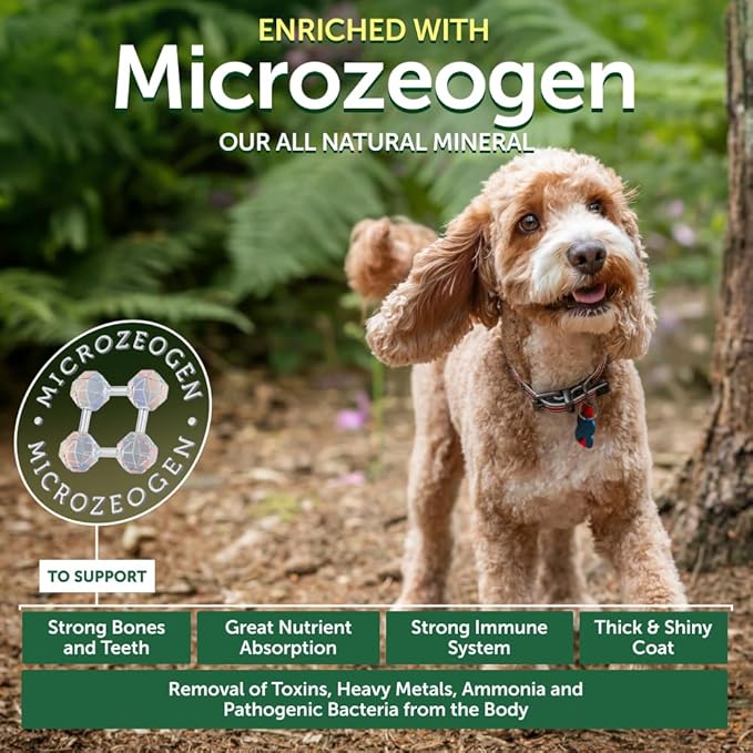 Nature's Protection Superior Care Grain-Free Dry Dog Food - High Protein, Coat Shine Dog Food for Small Breeds Red Coated Adult Dogs, Fresh Pet Meal, Lamb, 3.3 lb