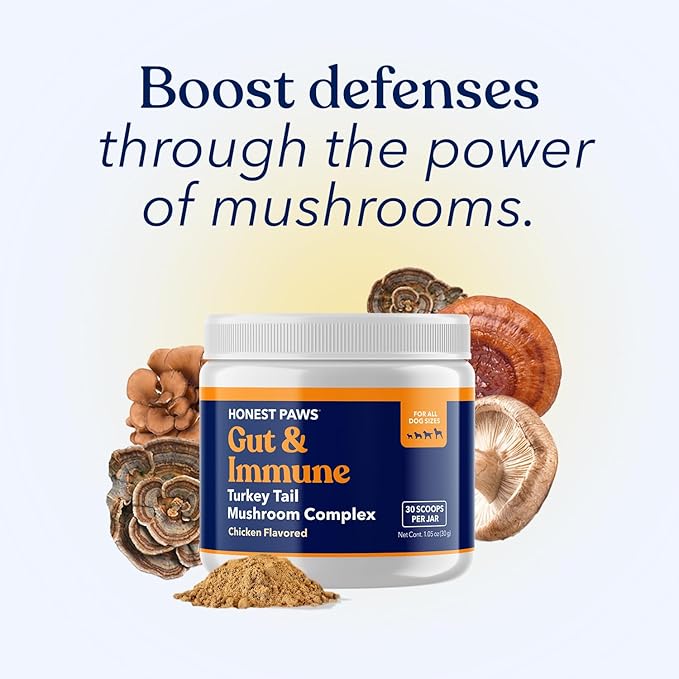 Honest Paws Turkey Tail Mushroom for Dogs - Digestive and Immune Support - Shiitake, Reishi, Maitake Mushroom Supplement Powder for Dogs - No Filler, No Additives - (30 Scoops)
