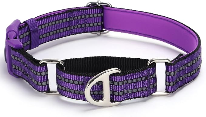 Martingale Collar for Dogs - Reflective Nylon with Padded Comfort & Quick Release Buckle - No Slip Choke Heavy Duty Collar for Safe Training, Walking & Nighttime Use Purple M