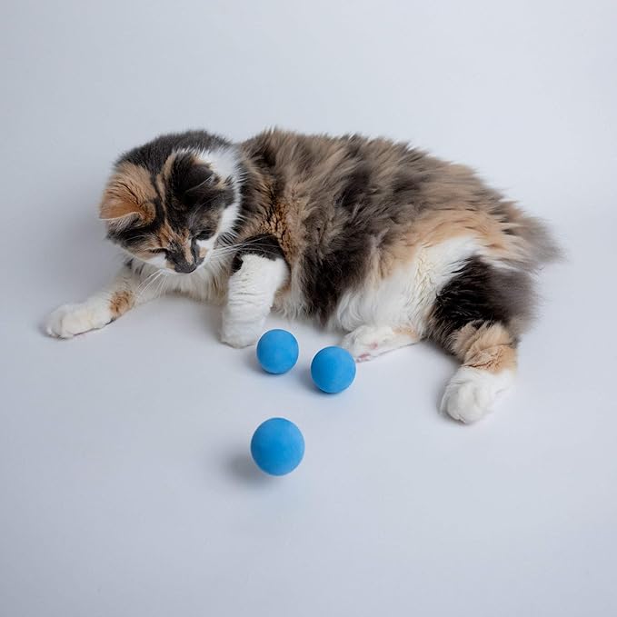 Rawry Foam Ball Cat Toy Set – 12 Foam Balls for Indoor Cats & Kittens | Soft, Durable, Bouncy Balls for Playtime & Exercise | Lightweight, Non-Toxic, Easy for Cats to Chase (12 Pack, Blue)