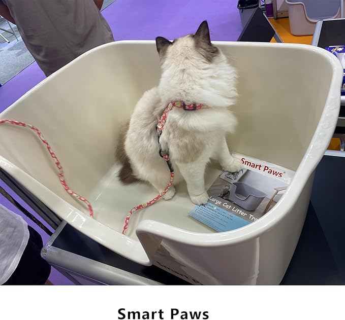 Smart Paws Extra Large Jumbo Cat Litter Box for Maine Coon Cats, Open Top High-Sided Anti-Splash Litter Pans, Durable XL Kitty Bathroom for Multi-Cat Households (Grey)