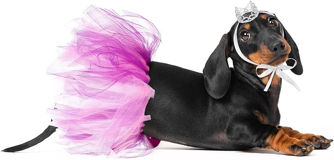 2 Pcs Dog Crown Headband Dog Tutu Dress Set Crystal Rhinestone Tiara Crown Tutu Skirt Pet Dress Costume for Puppy Birthday Party Wedding Photo Prop Costume(Small,Pink Purple)